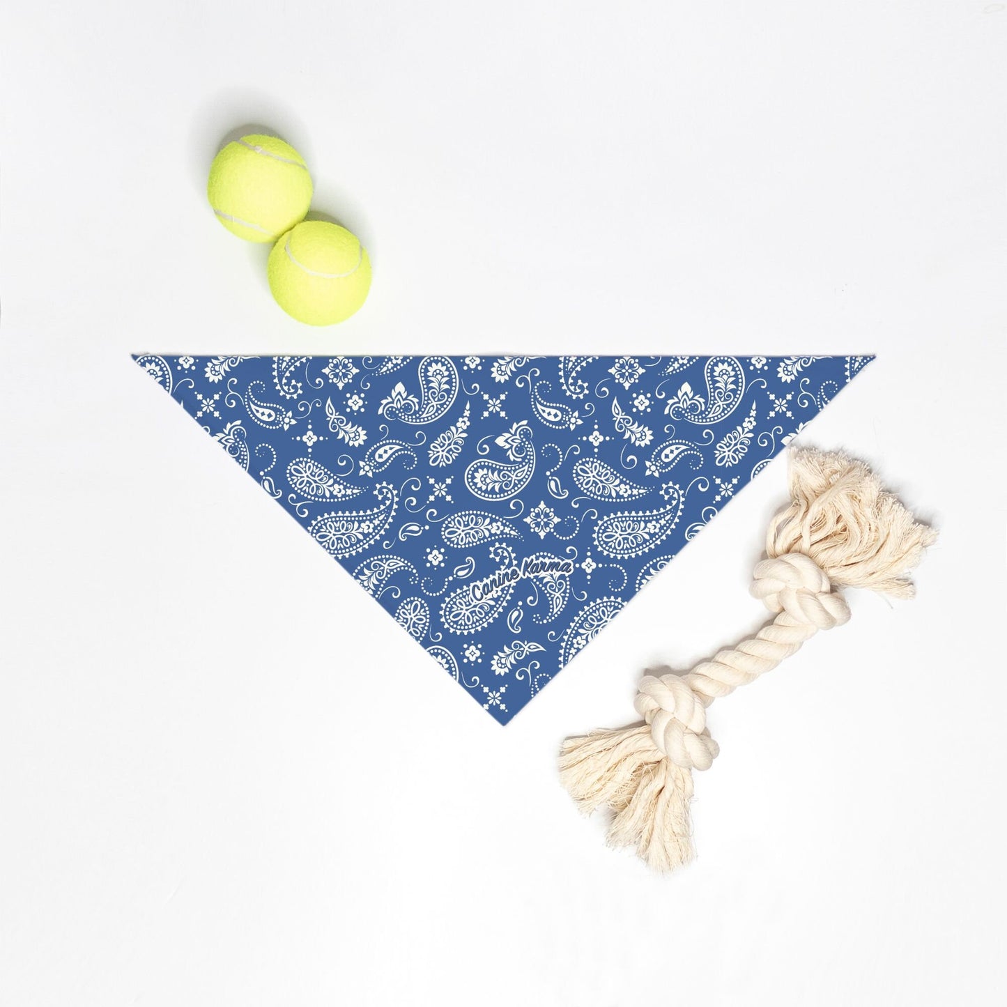 Sawyer Bandana (Blue)