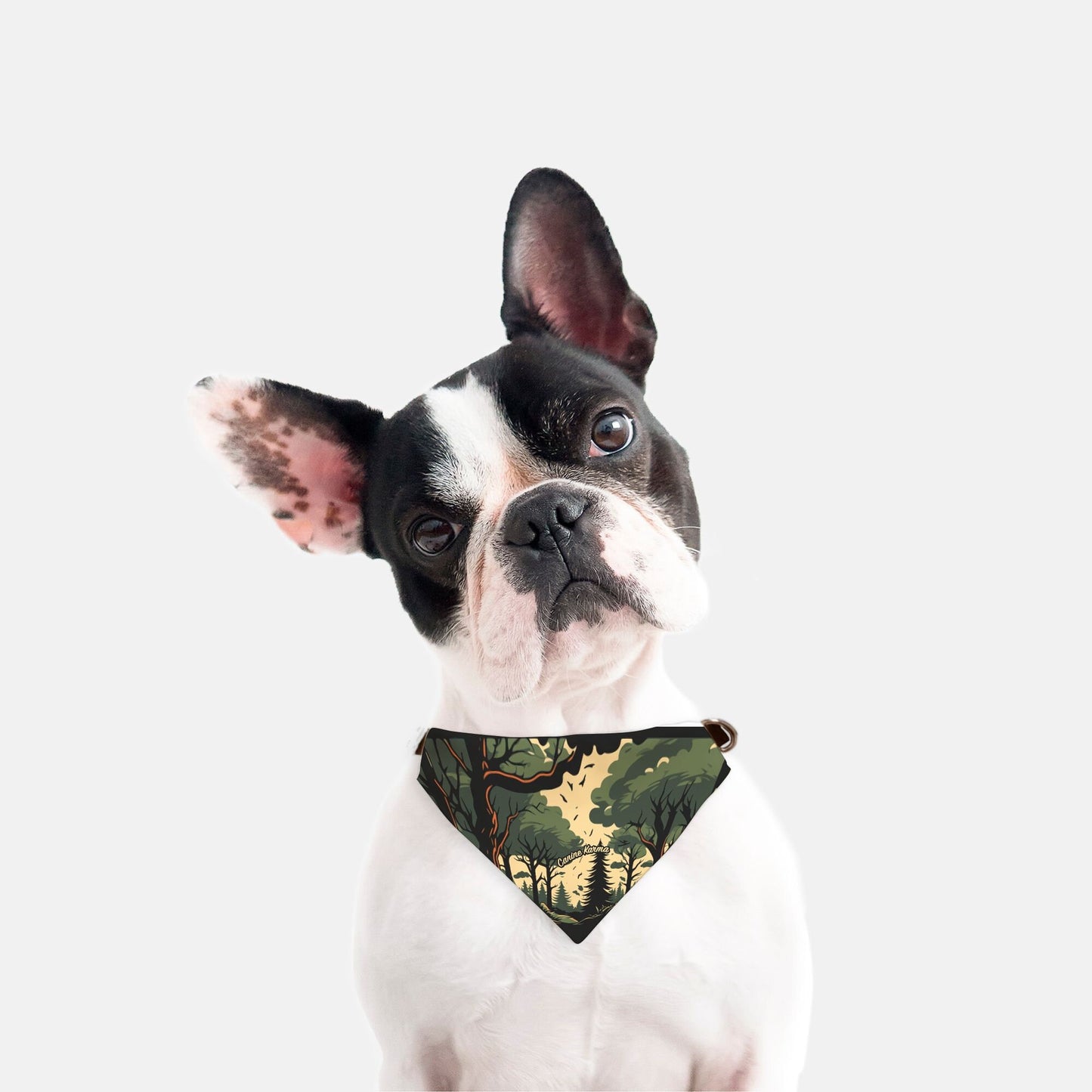 Rocky Collar Bandana