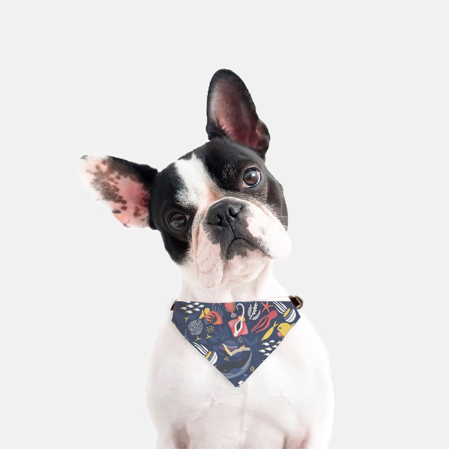 Callie Collar Bandana