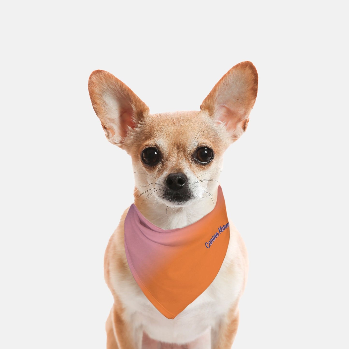 Aries Bandana (Color Pop)