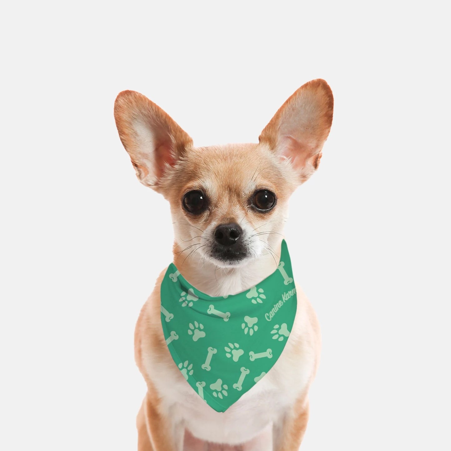 Max Bandana (Jade/Mint)