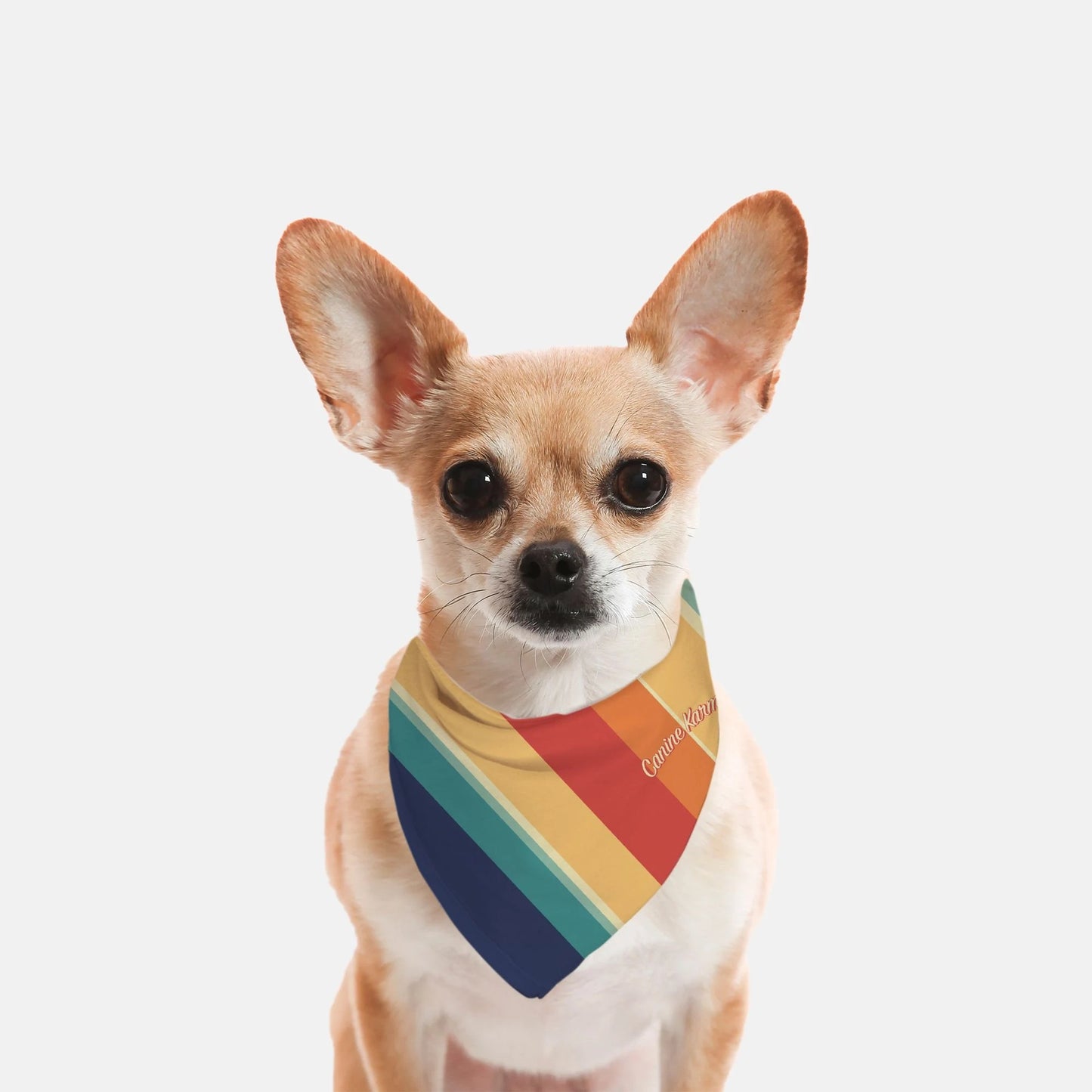 Marley Bandana (Retro Rainbow)