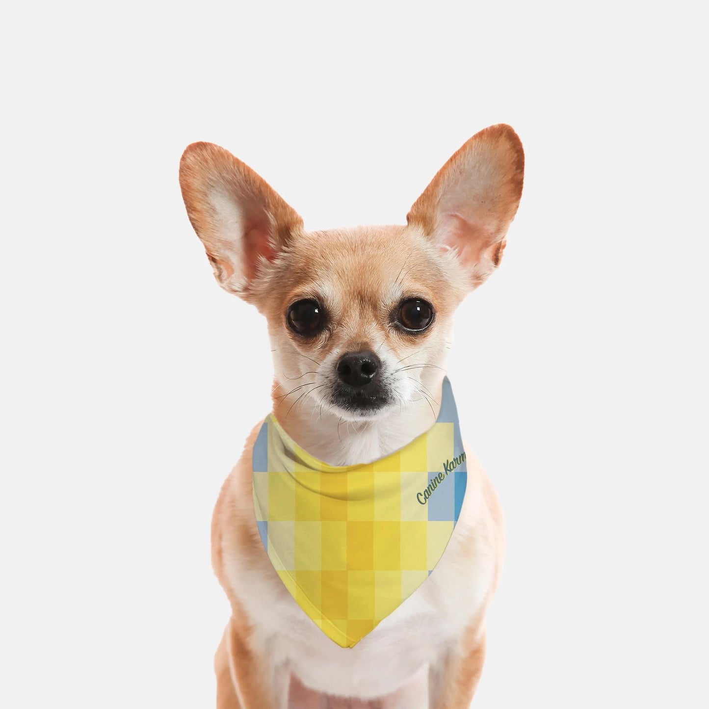 Zeke Bandana (Blue/Yellow)