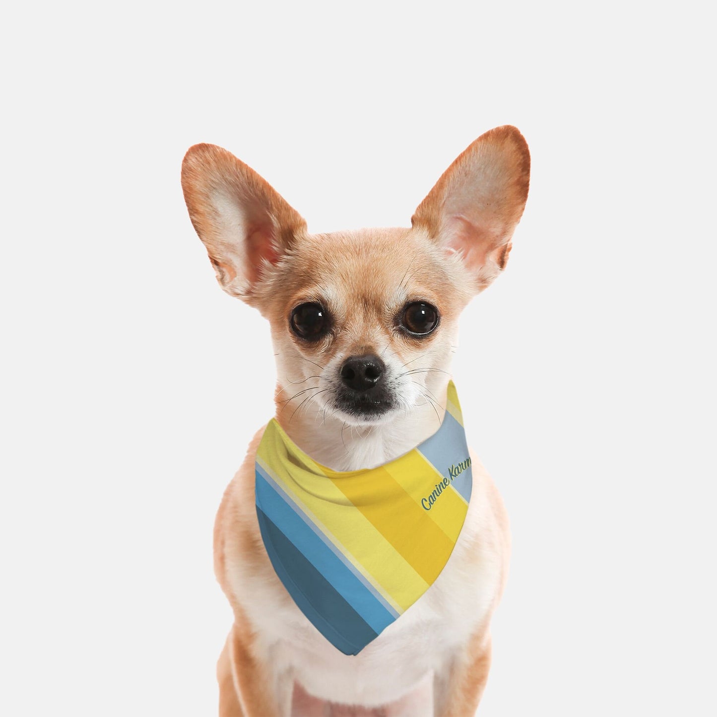 Marley Bandana (Blue/Yellow)