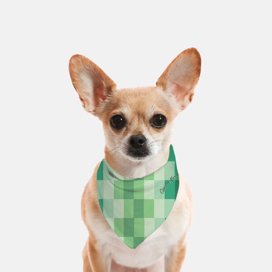 Zeke Bandana (Jade Ombre)