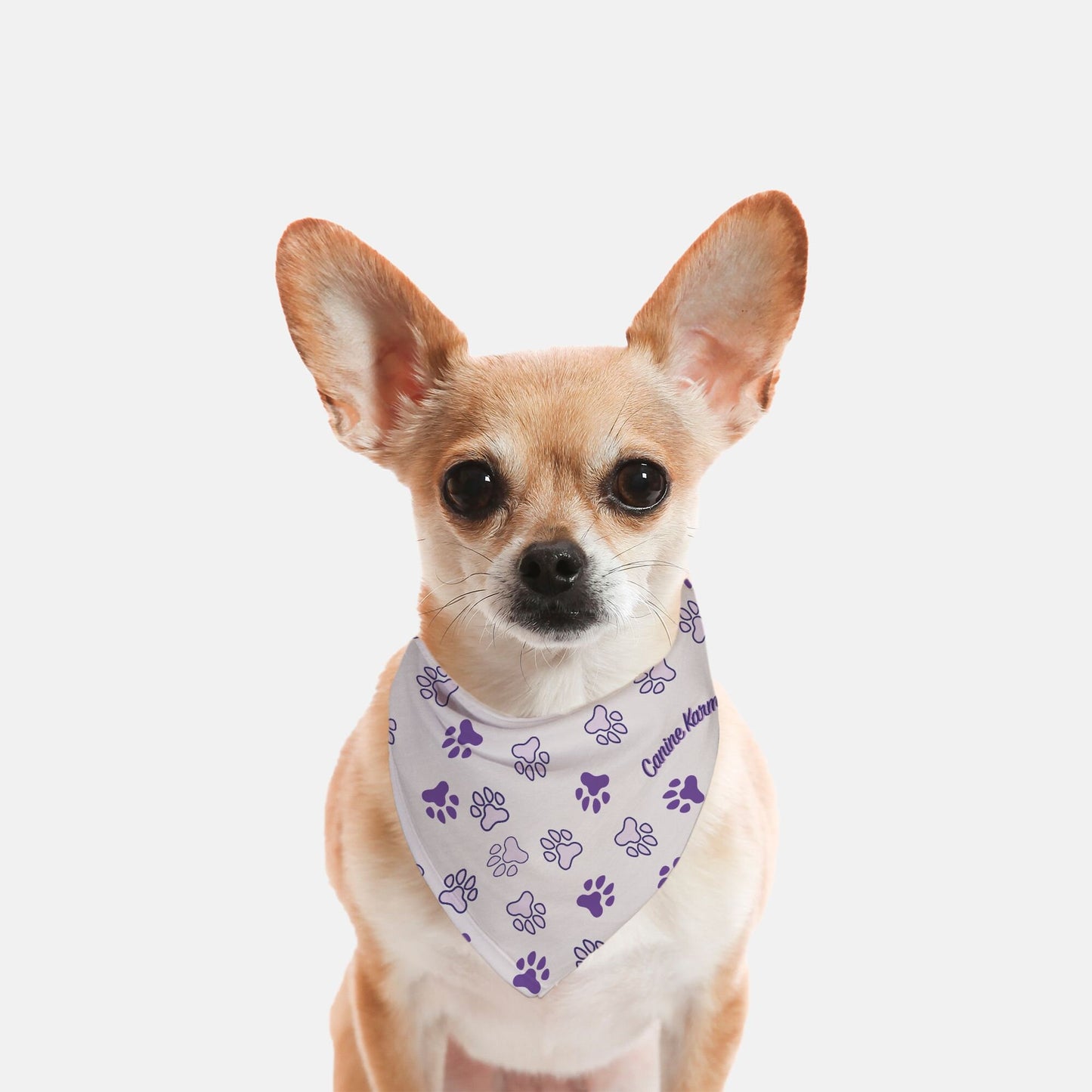 Herman Bandana (Purple)