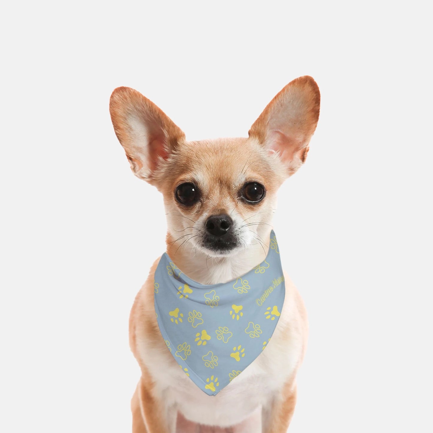 Herman Bandana (Blue/Yellow)