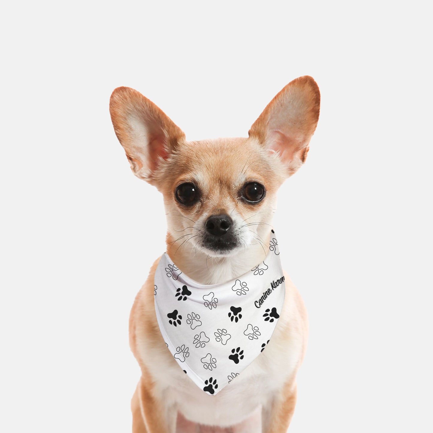 Herman Bandana (White/Black)