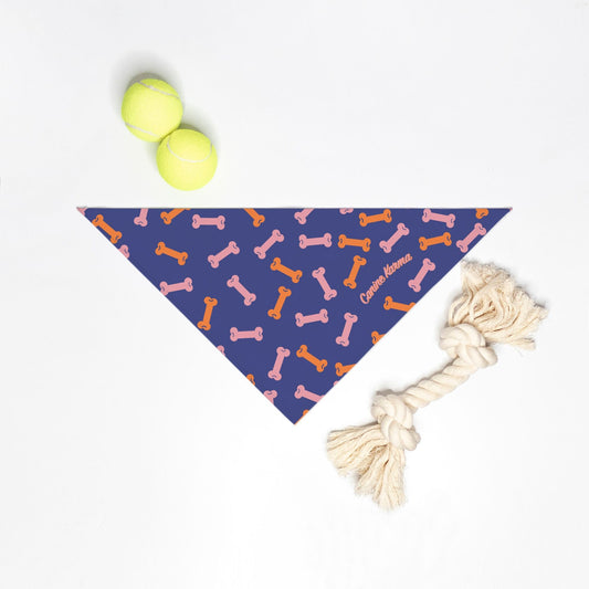 Buster Bandana (Color Pop)