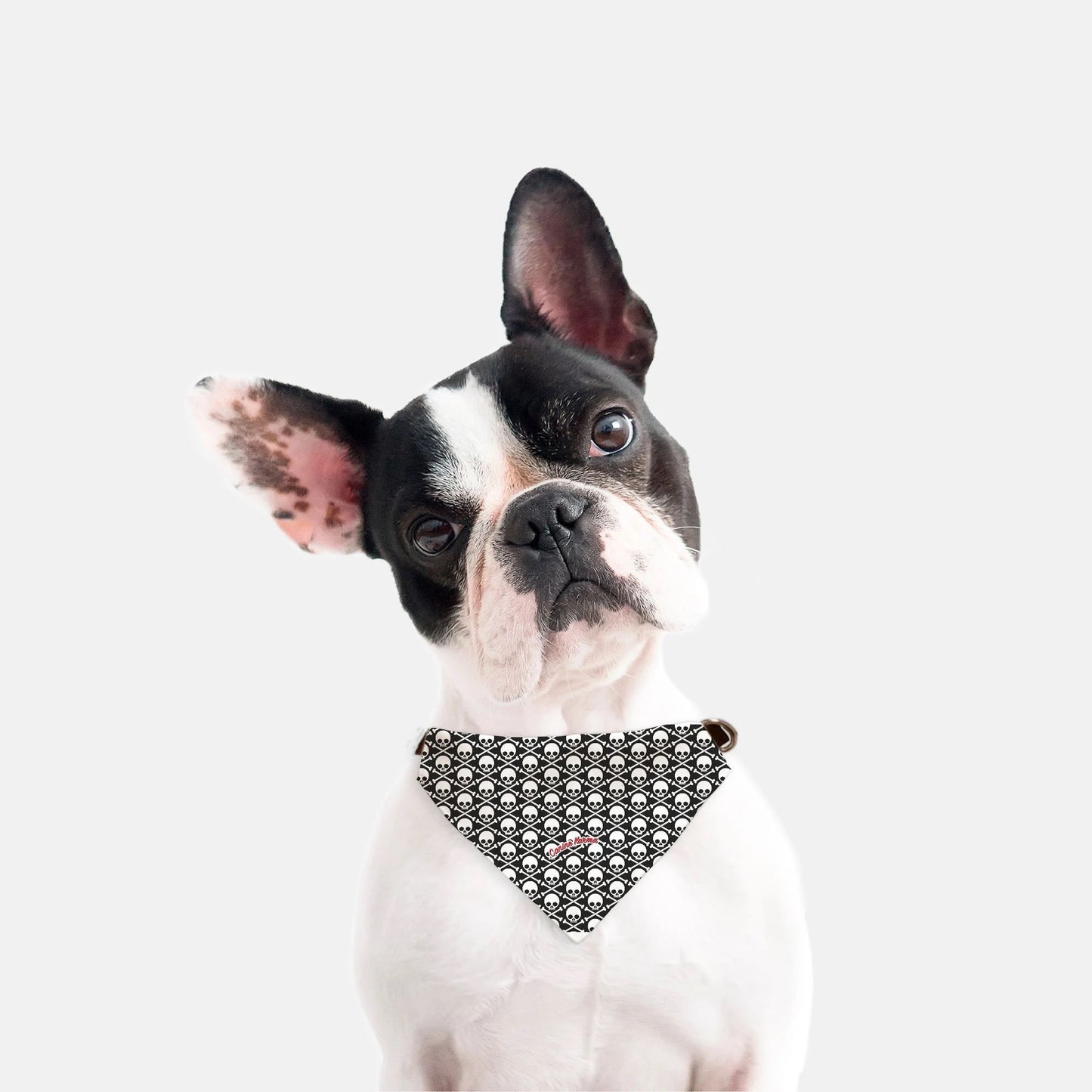 Wyatt Collar Bandana (Black/White)