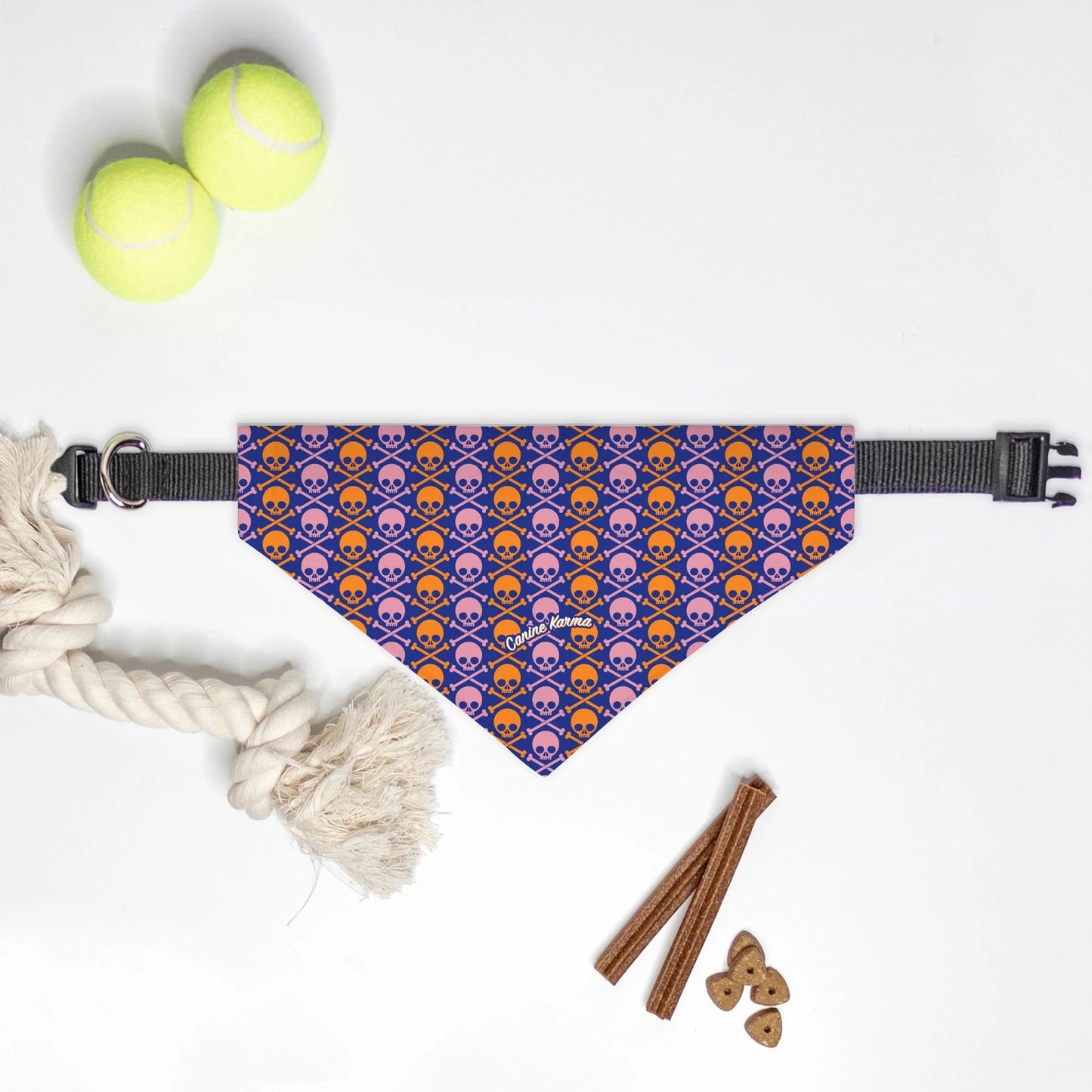 Wyatt Collar Bandana (Color Pop)