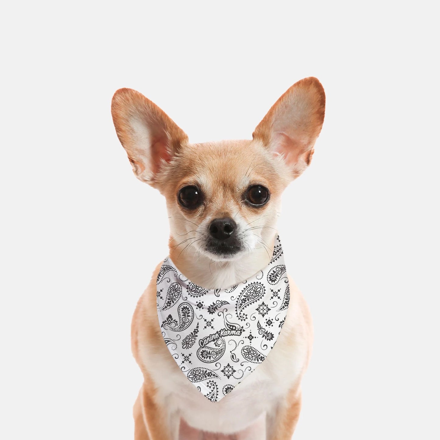 Sawyer Bandana (White)