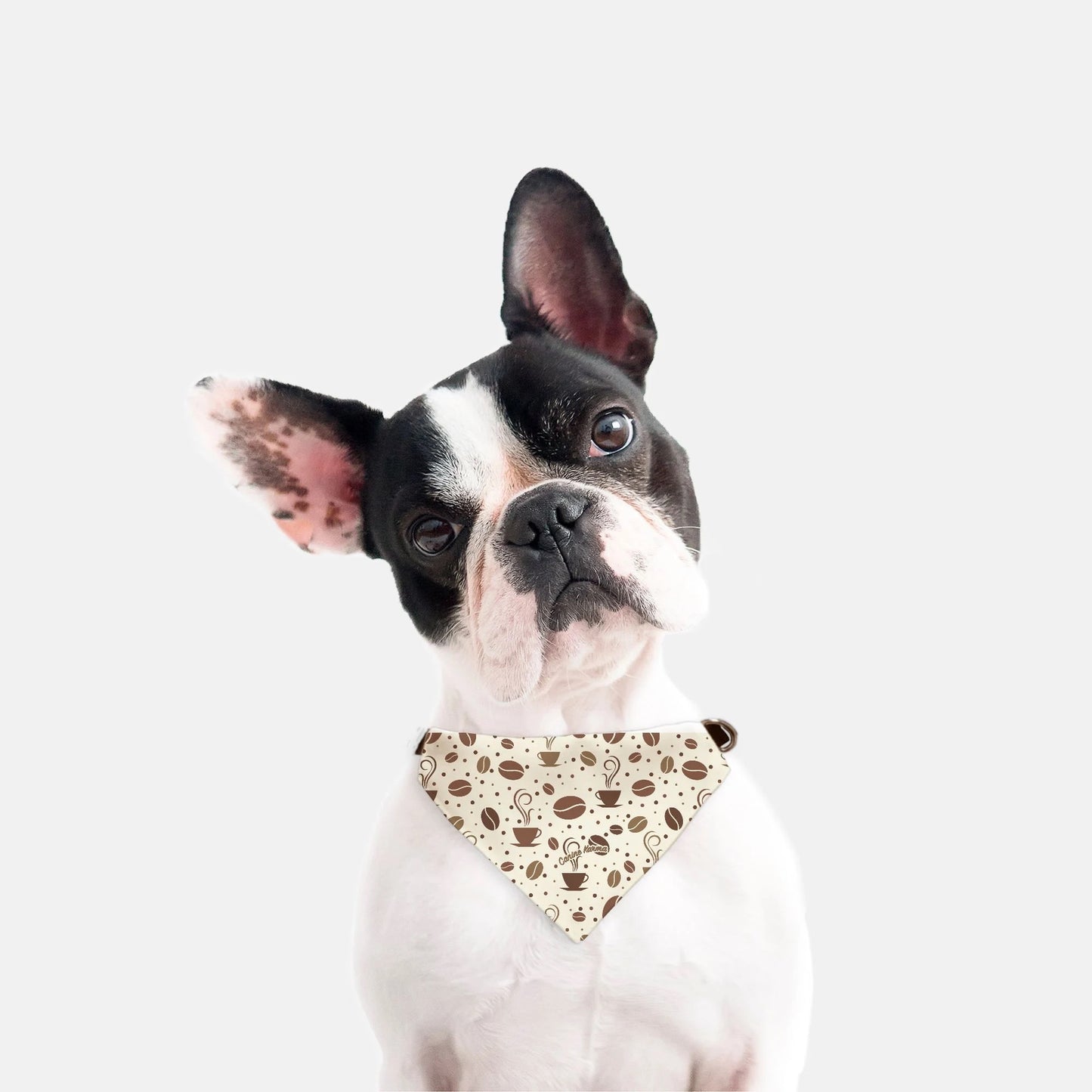 Java Collar Bandana