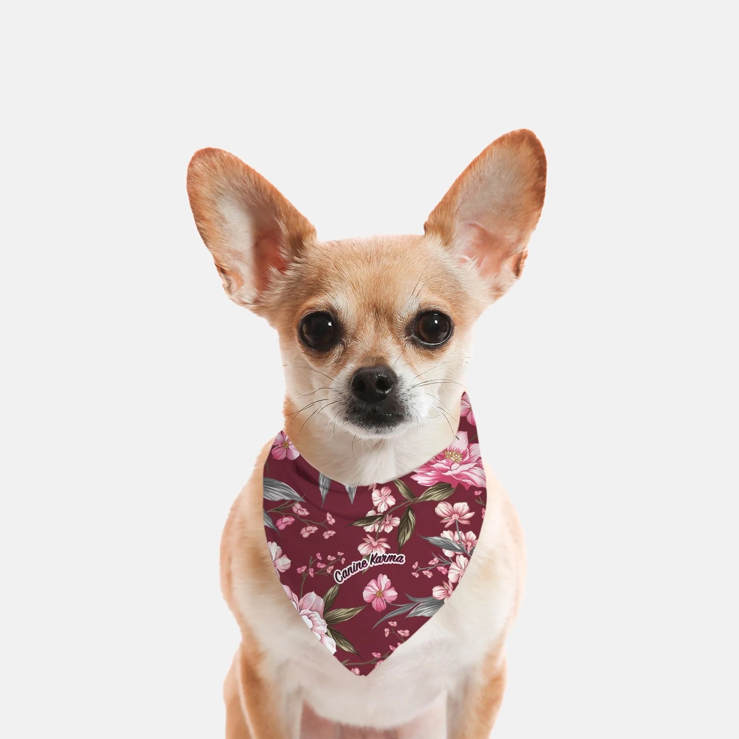 Stella Bandana