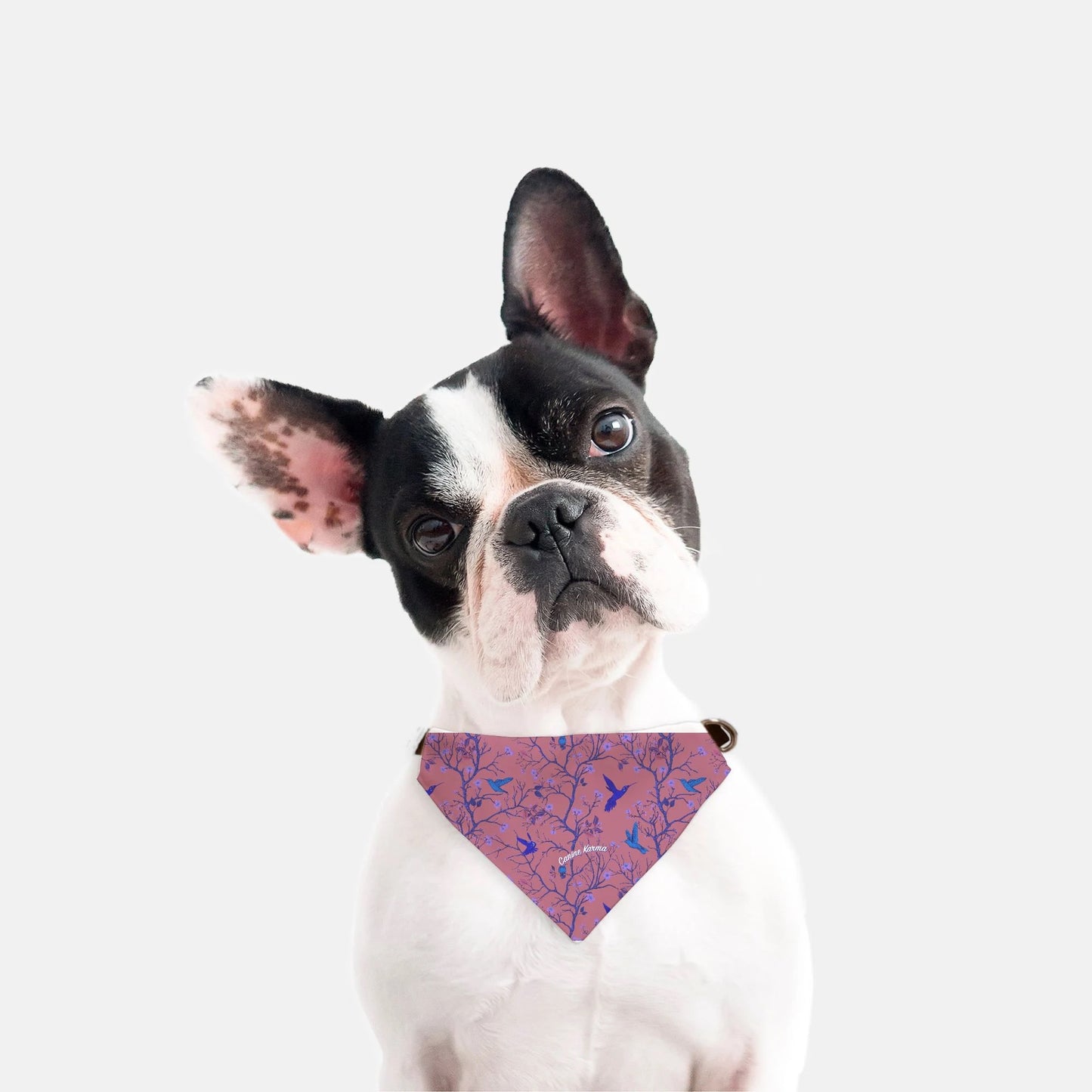 Daisy Collar Bandana (Pink/Blue)