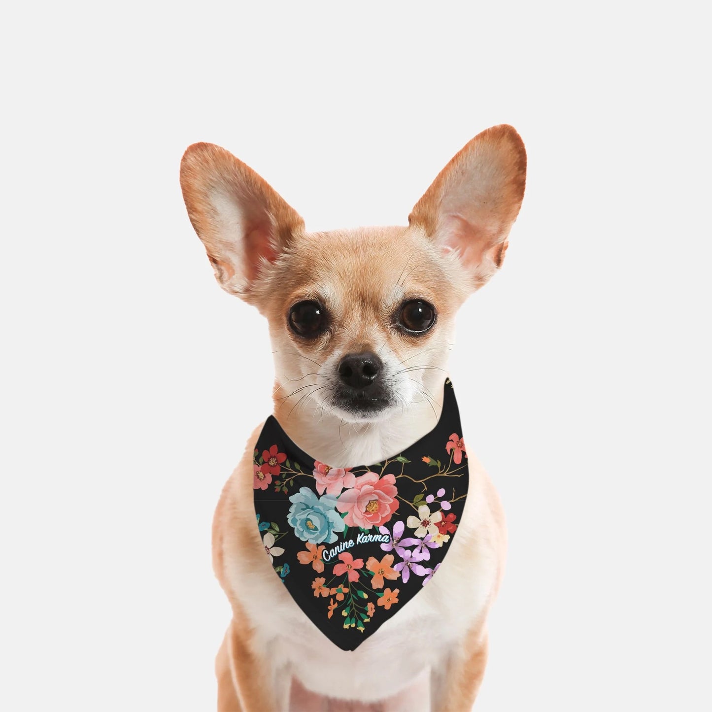 Willow Bandana