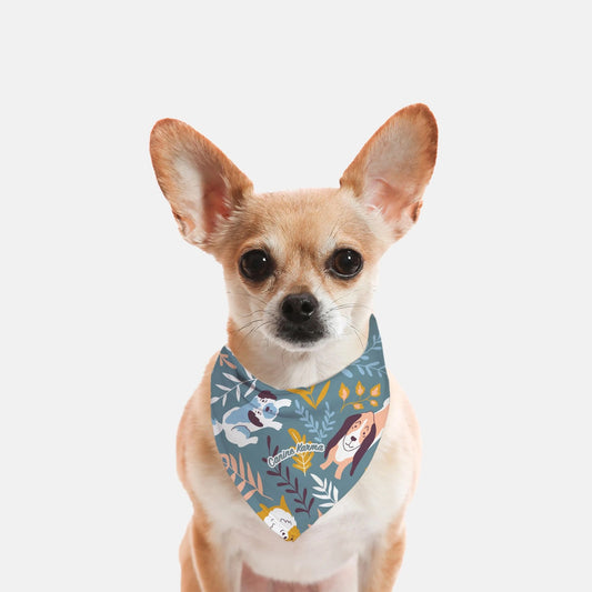 Tucker Bandana