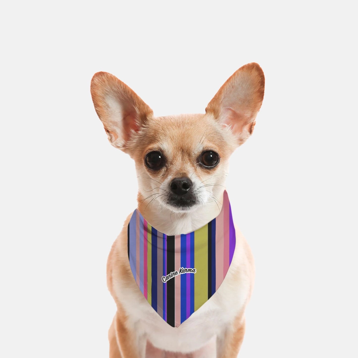 Charlie Bandana (Purple)