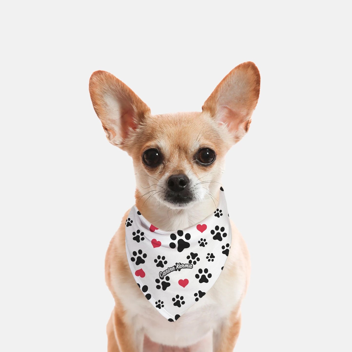 Oreo Bandana