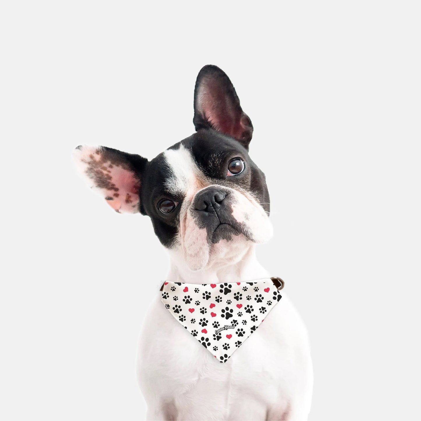 Oreo Collar Bandana