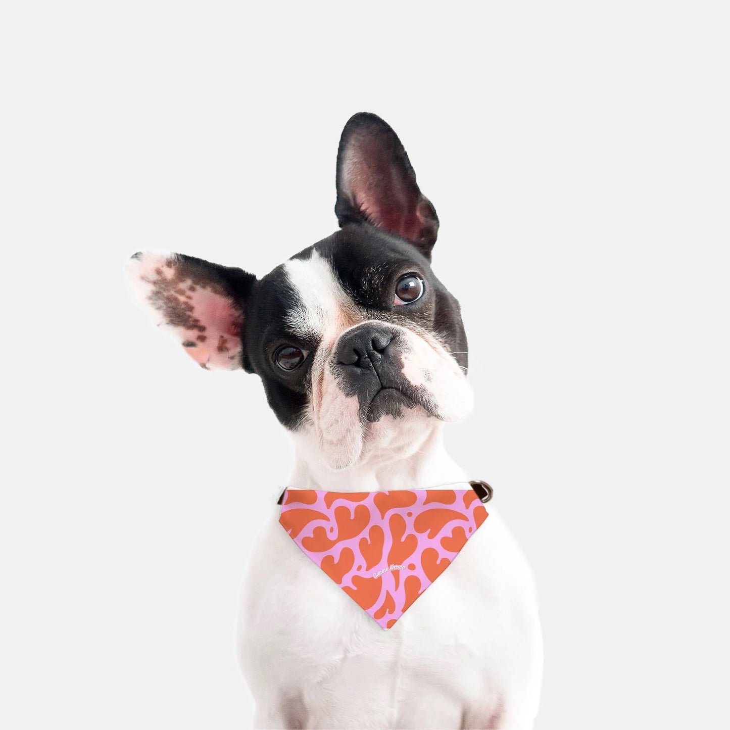 Honey Collar Bandana