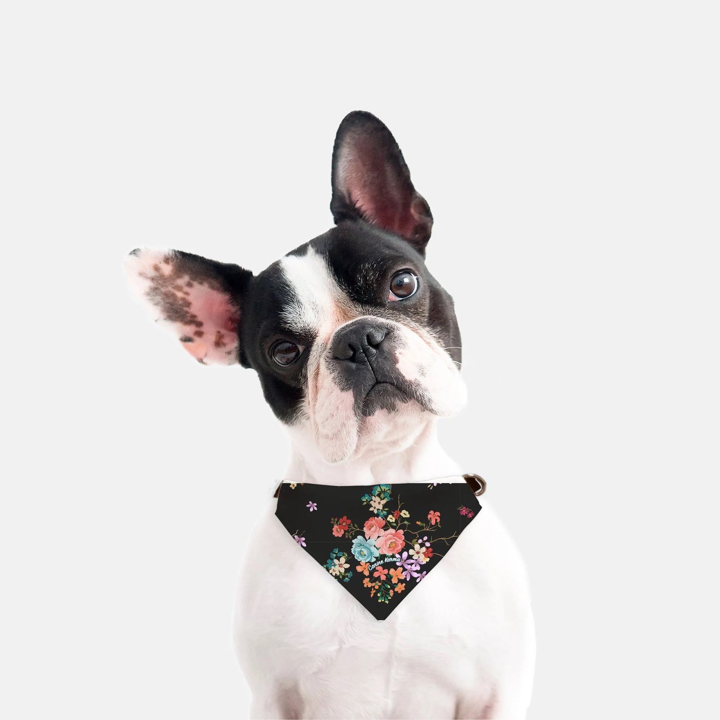 Willow Collar Bandana