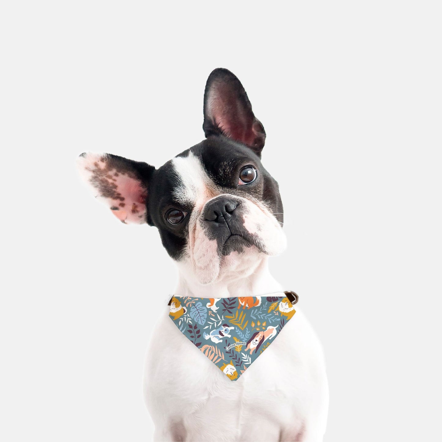 Tucker Collar Bandana (LG & XL)