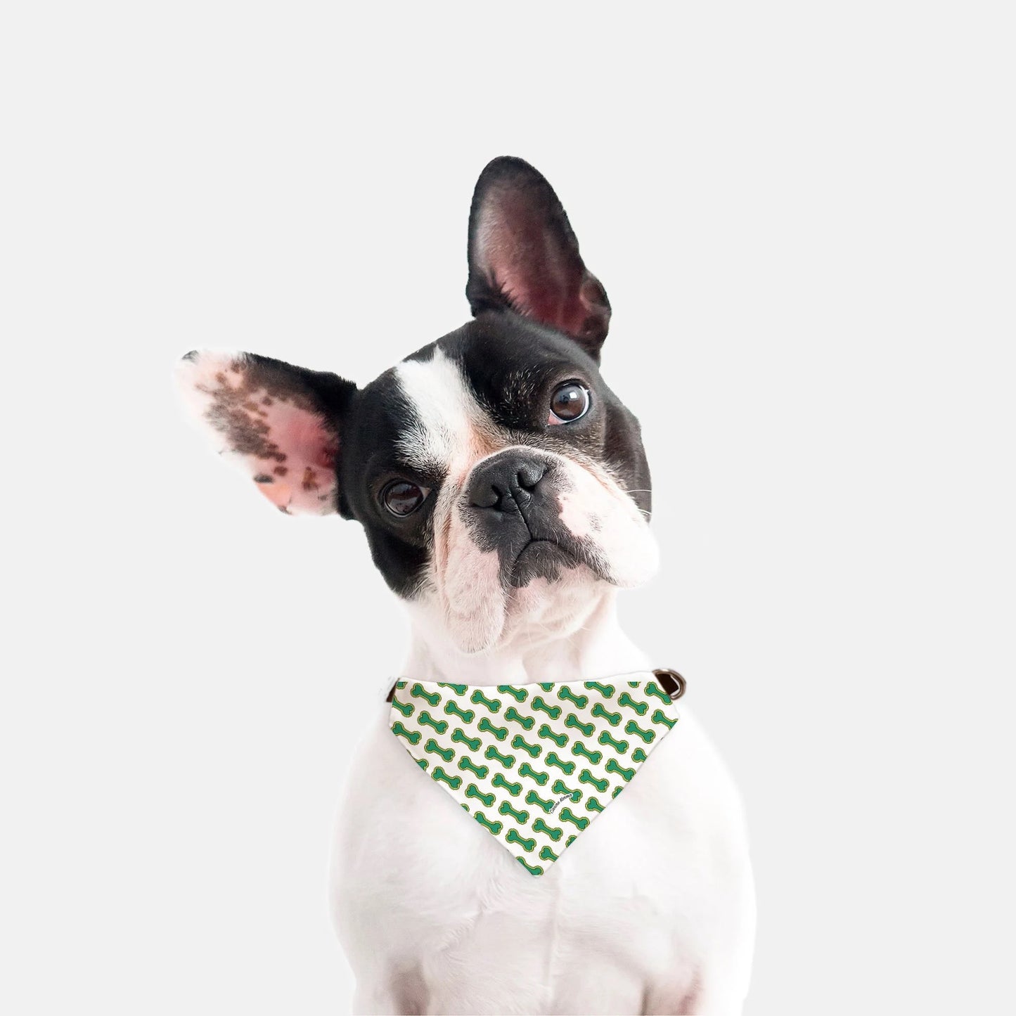 Bailey Collar Bandana (Green)