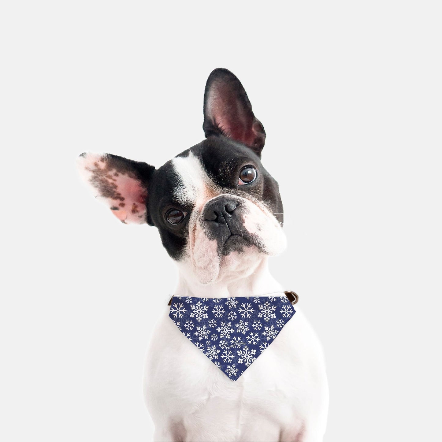 Flurry Collar Bandana (Blue)