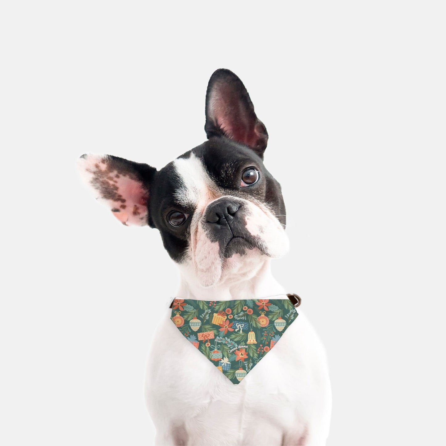 Merry Collar Bandana