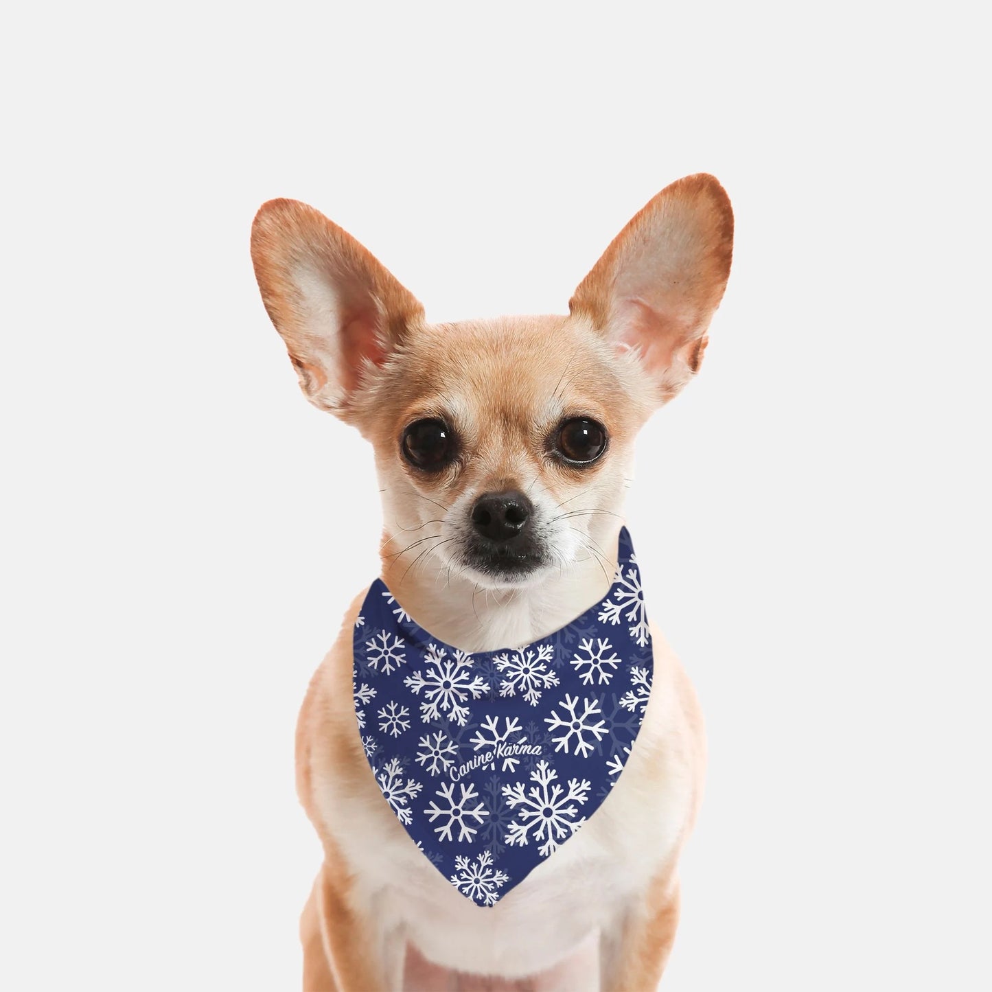 Flurry Bandana (Blue)