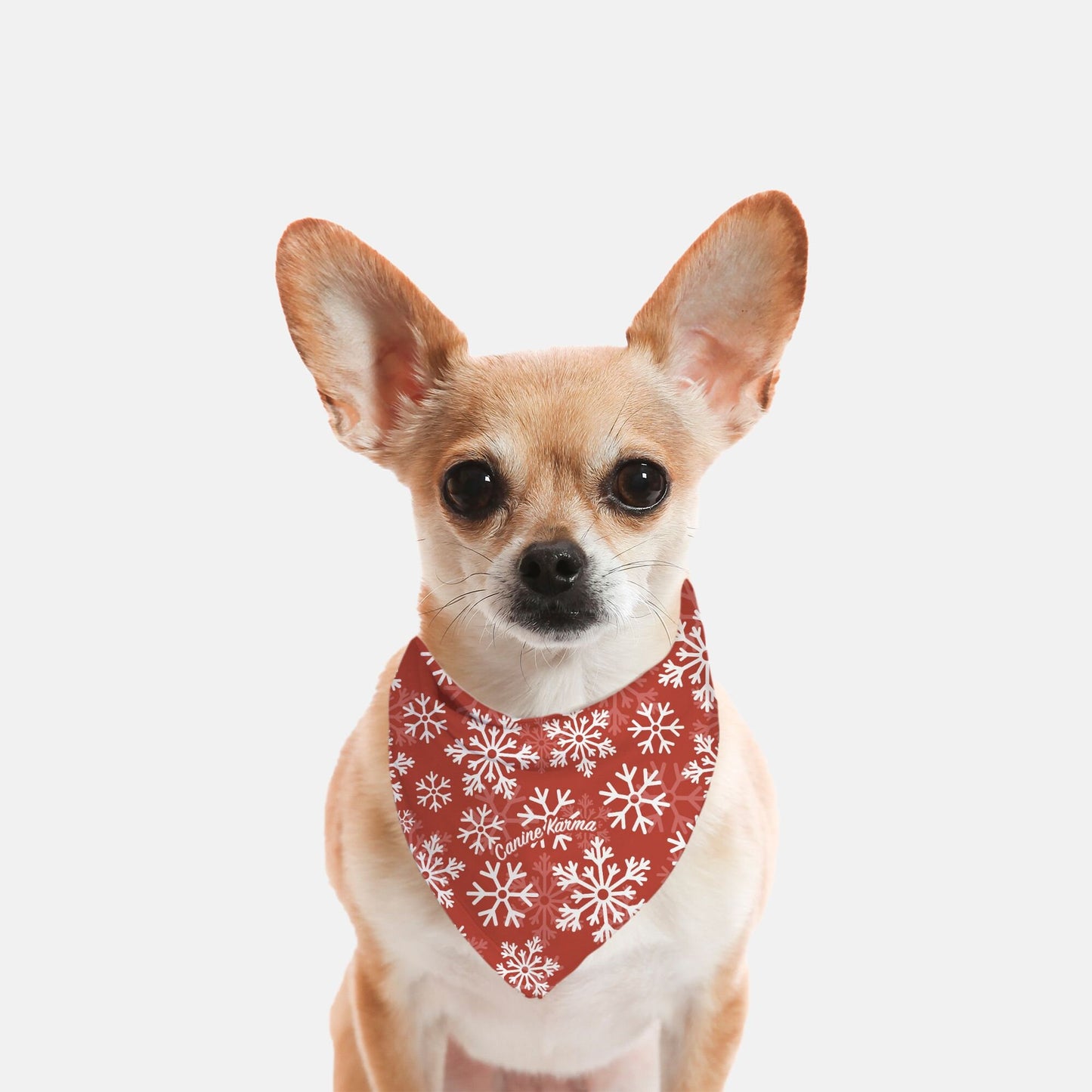 Flurry Bandana (Red)