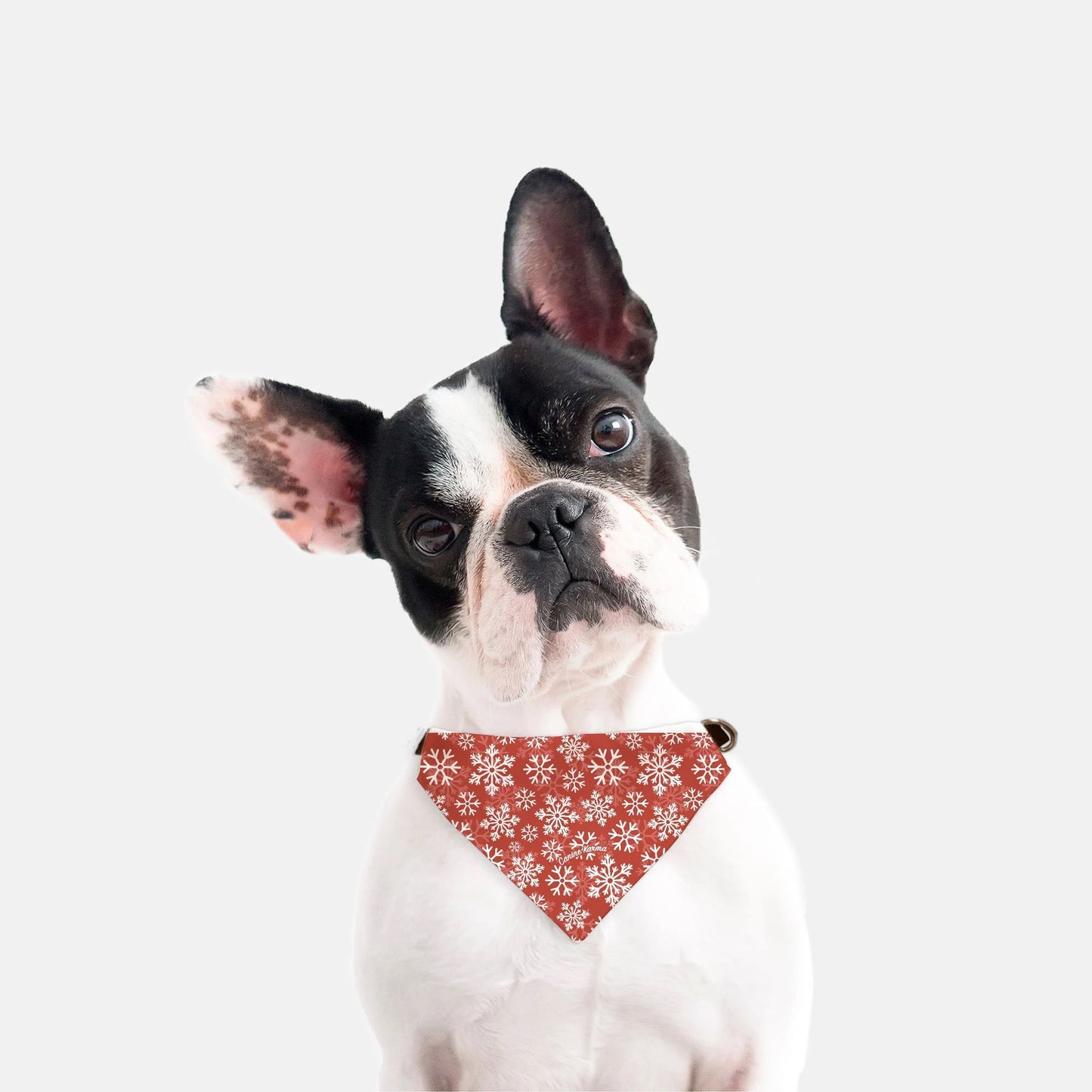 Flurry Collar Bandana (Red)