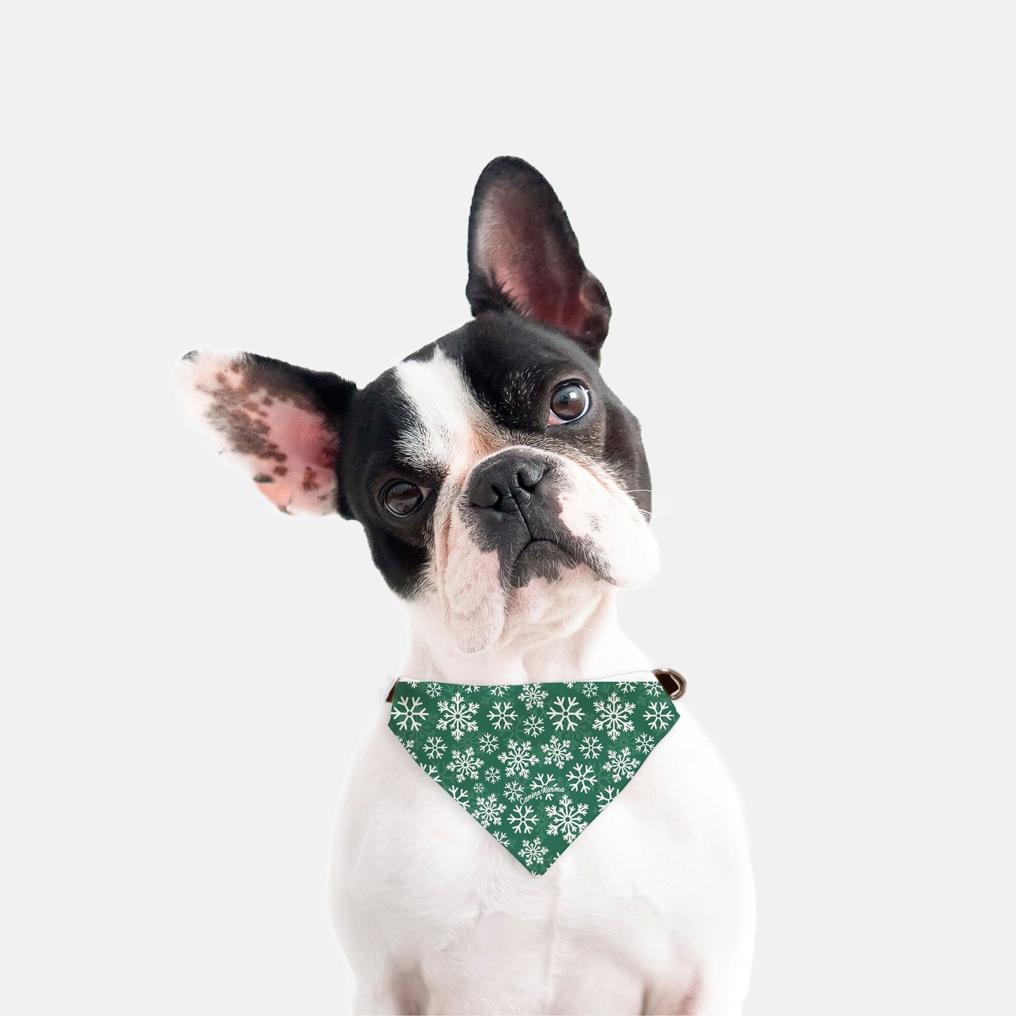 Flurry Collar Bandana (Green)