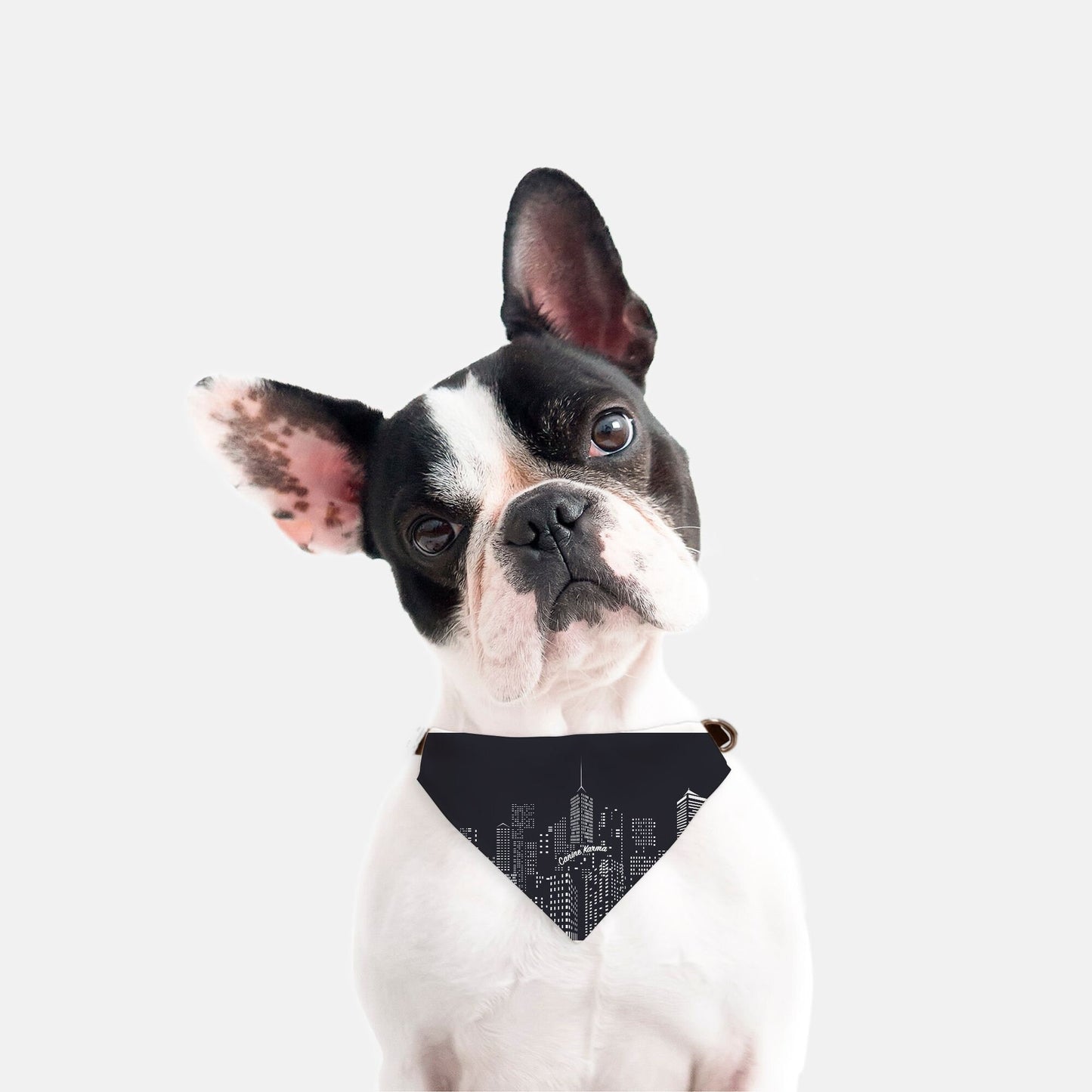 Chaplin Collar Bandana