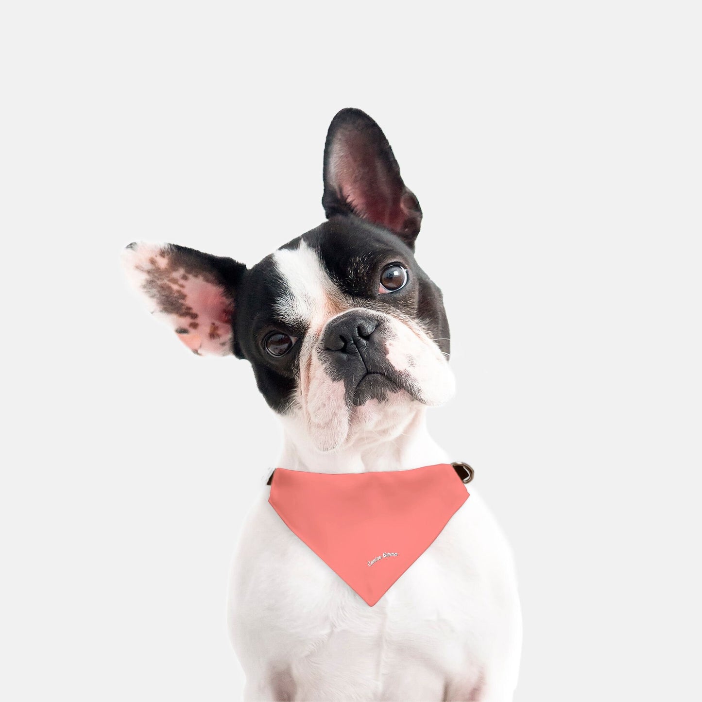 Georgia Collar Bandana