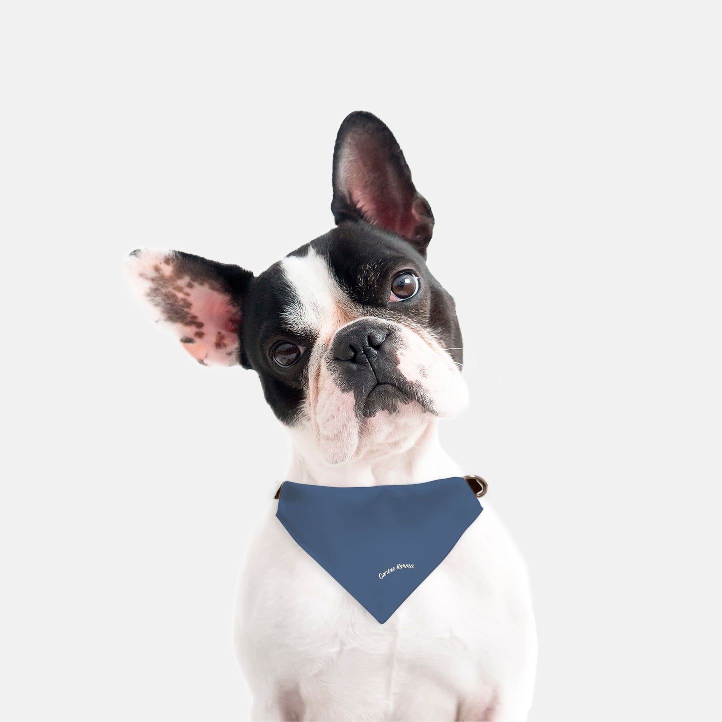 Wagner Collar Bandana