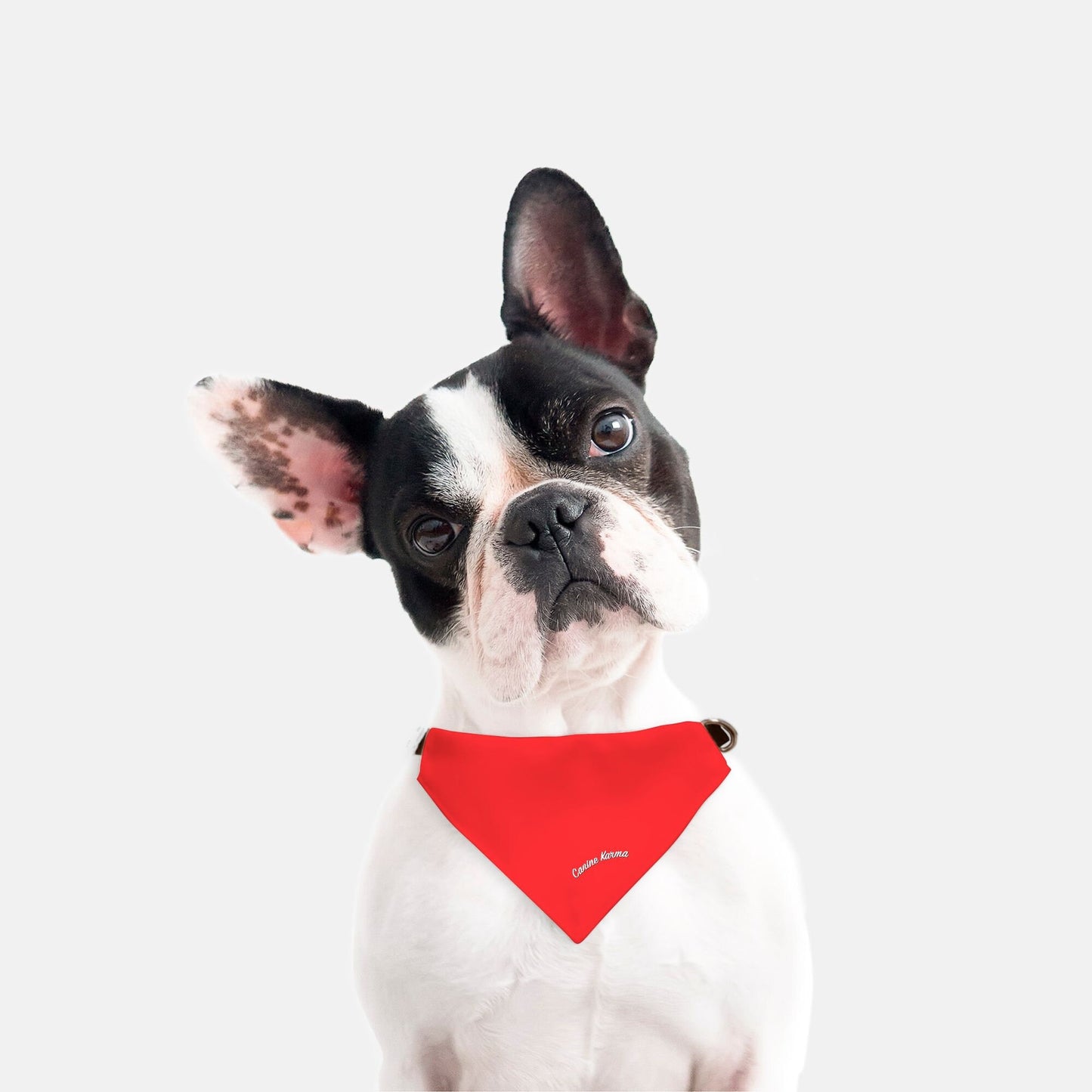 Mabelline Collar Bandana