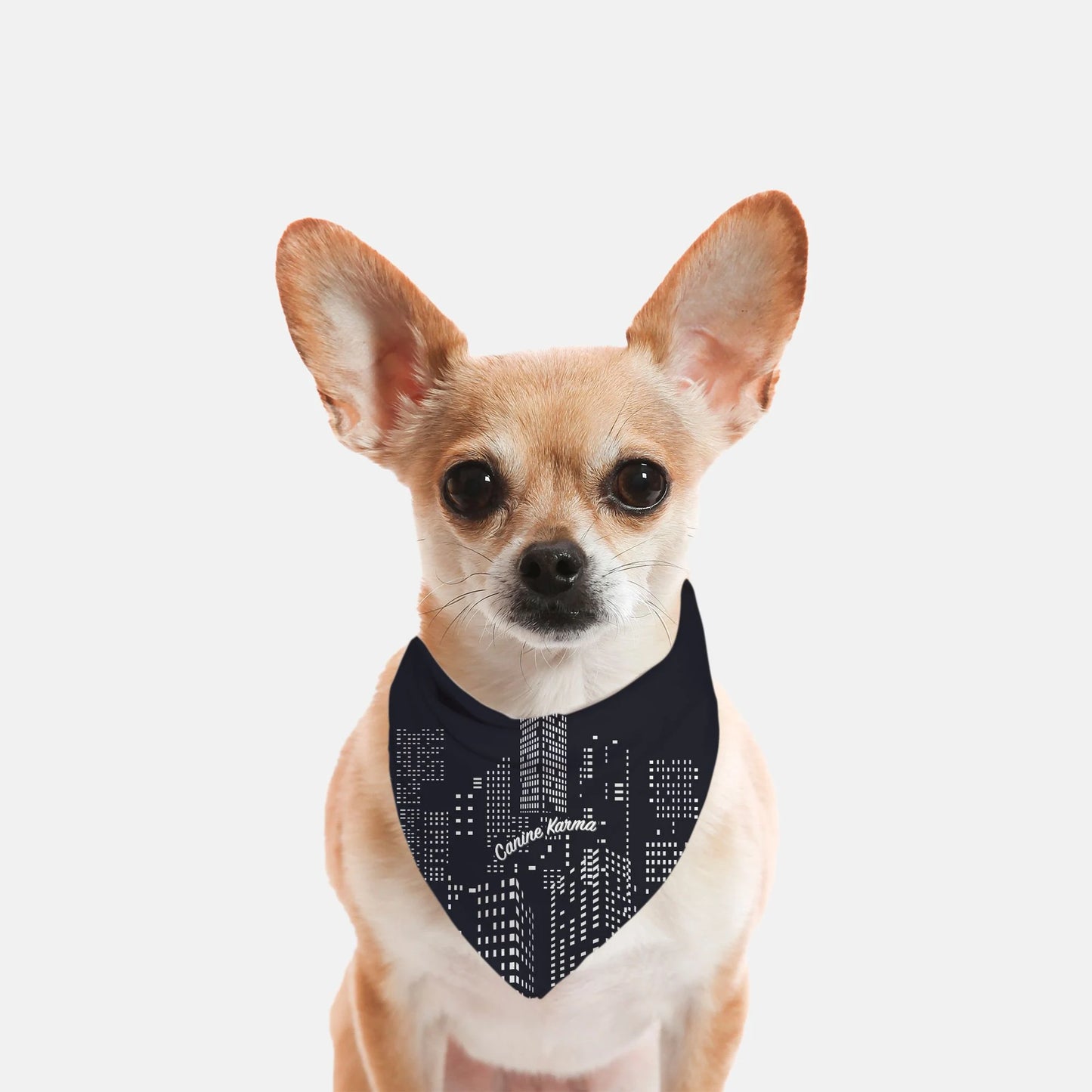 Chaplin Bandana