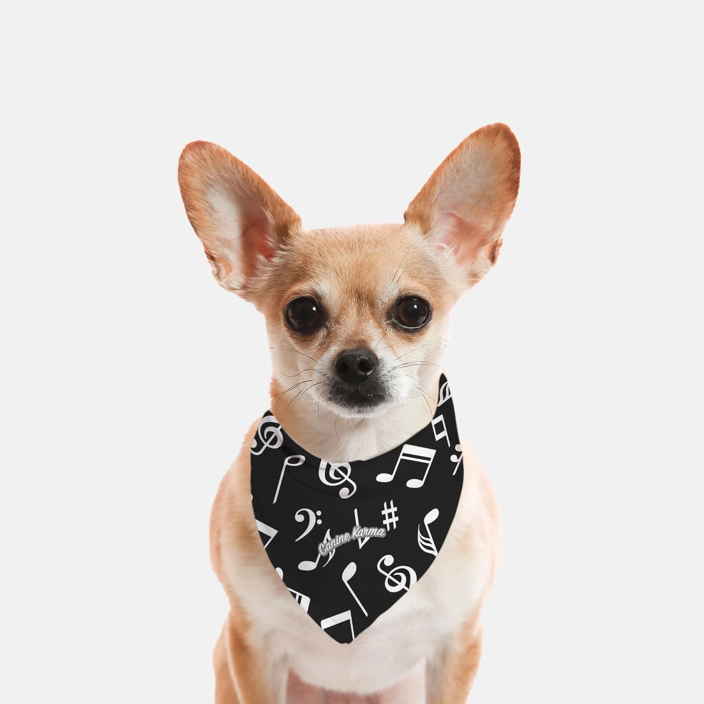 Coda Bandana