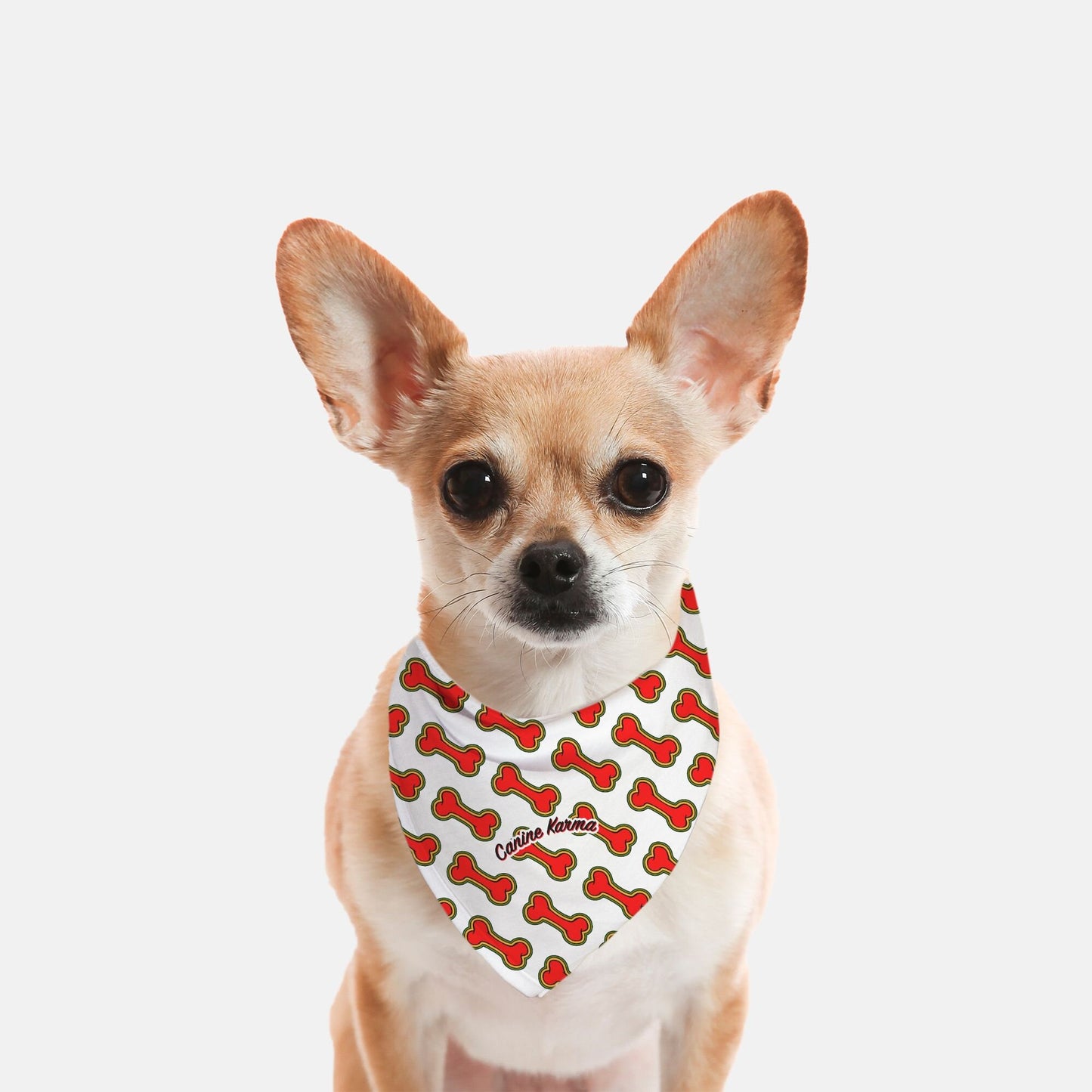 Bailey Bandana (Red/White)