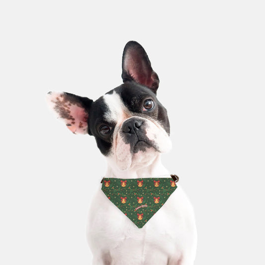 Jingles Collar Bandana (Style B)