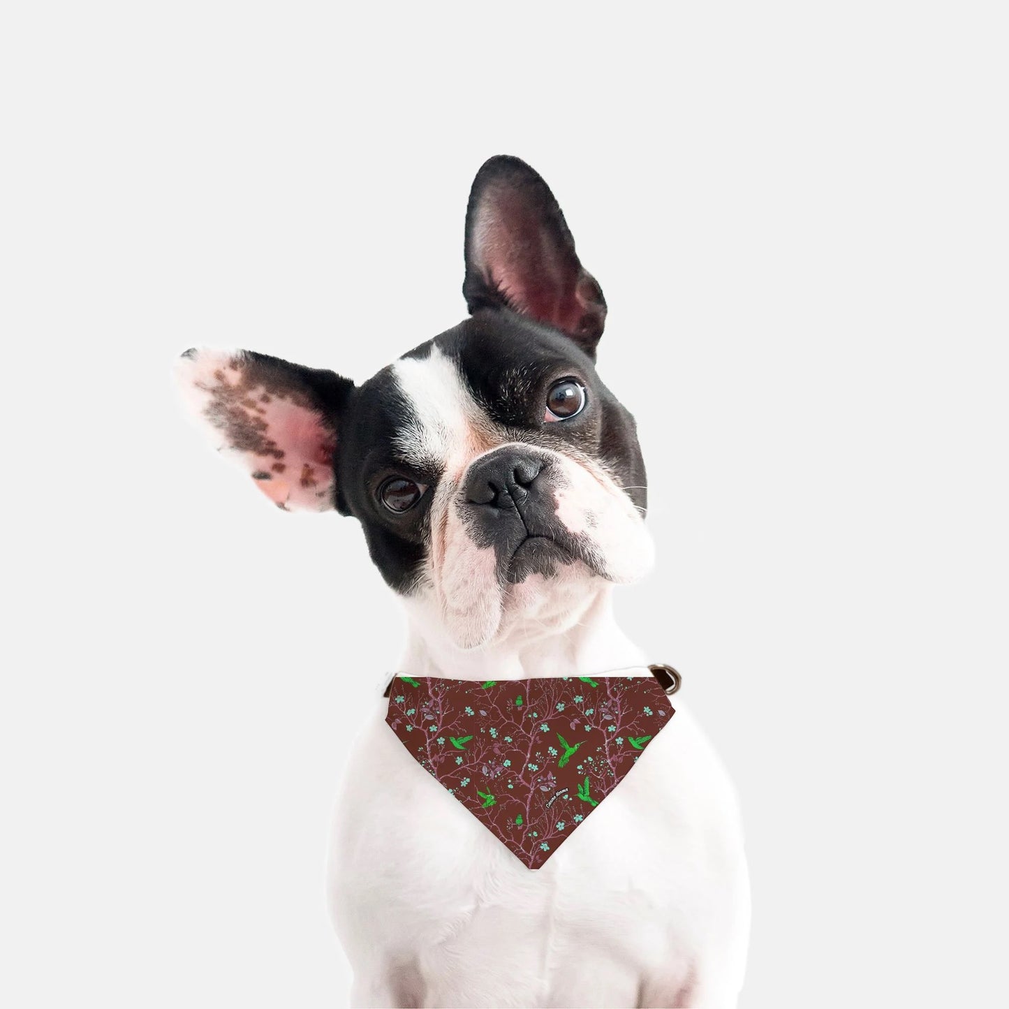 Daisy Collar Bandana (Maroon)